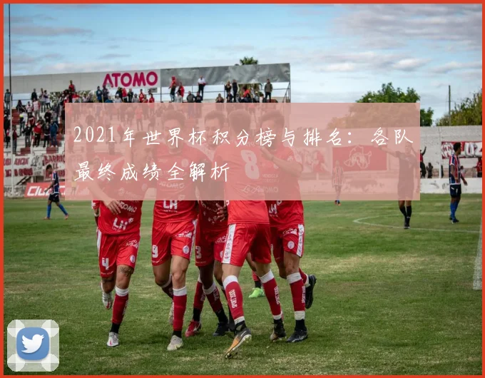 2021年世界杯积分榜与排名：各队最终成绩全解析