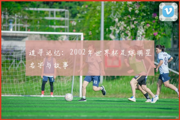 追寻记忆：2002年世界杯足球明星名字与故事