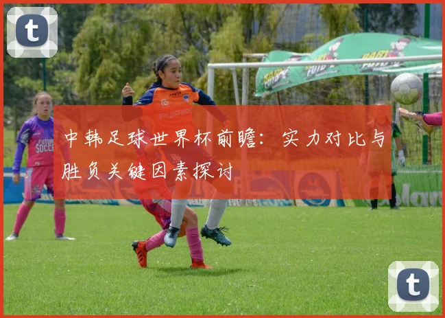 中韩足球世界杯前瞻：实力对比与胜负关键因素探讨