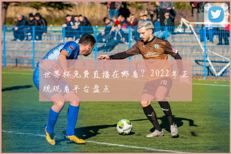 世界杯免费直播在哪看？2022年正规观看平台盘点