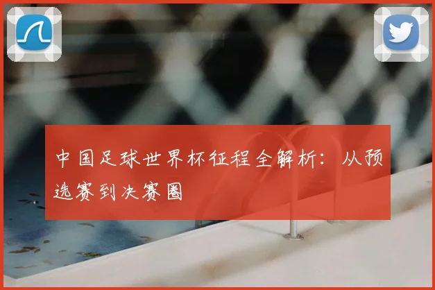 中国足球世界杯征程全解析:从预选赛到决赛圈