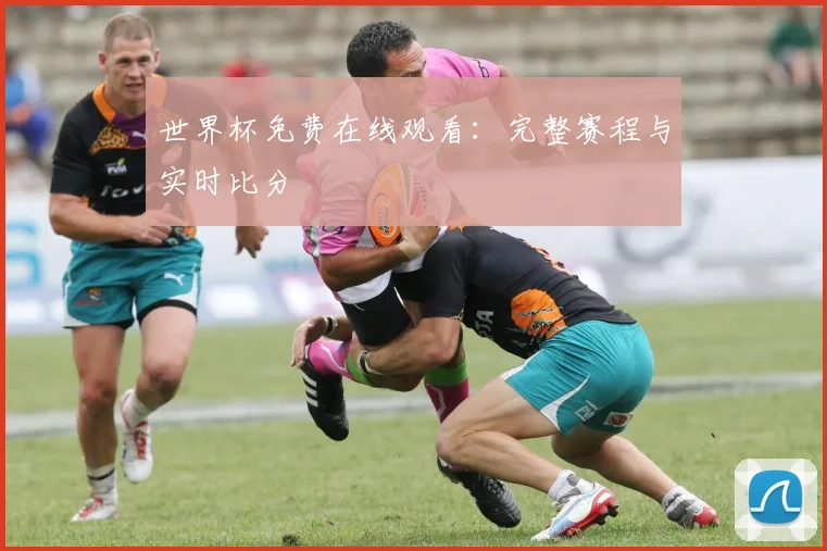 世界杯免费在线观看：完整赛程与实时比分